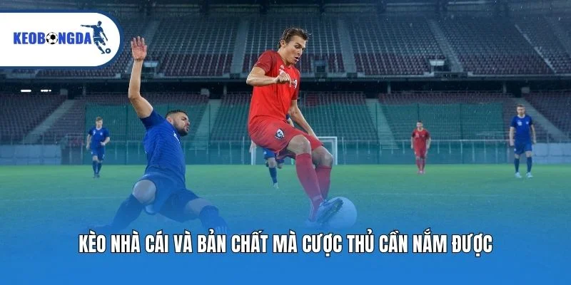 Kèo nhà cái và bản chất mà cược thủ cần nắm được