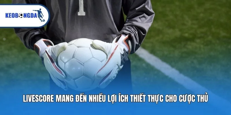 Livescore mang đến nhiều lợi ích thiết thực cho cược thủ